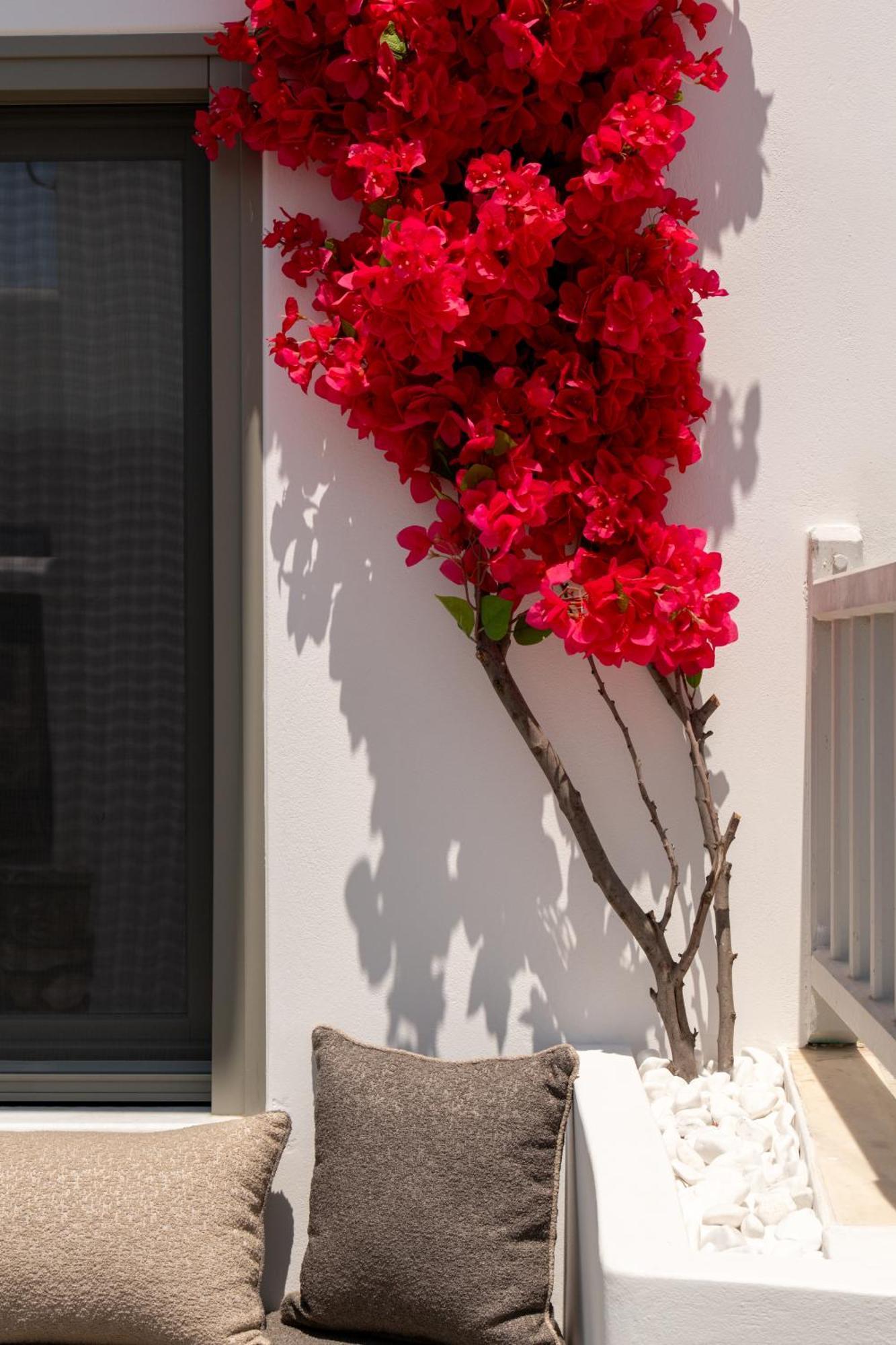 Sunsal Luxury - Earth Naoussa